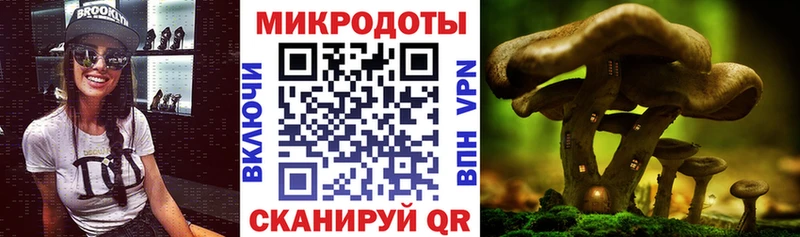 Галлюциногенные грибы мухоморы  Нюрба 